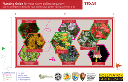 Pollinator Planting Card
