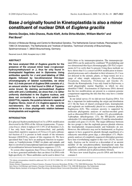 Base J Originally Found in Kinetoplastida Is Also a Minor Constituent of Nuclear DNA of Euglena Gracilis