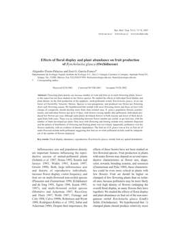 Effects of Floral Display and Plant Abundance on Fruit Production of Ryncholaelia Glauca (Orchidaceae)