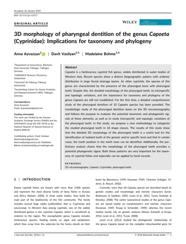 3D Morphology of Pharyngeal Dentition of the Genus Capoeta (Cyprinidae): Implications for Taxonomy and Phylogeny