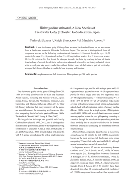 Rhinogobius Mizunoi, a New Species of Freshwater Goby (Teleostei: Gobiidae) from Japan