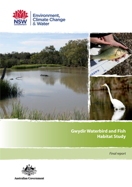 Gwydir Waterbird and Fish Habitat Study: Final Reportdownload