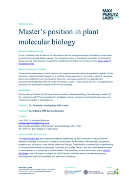 Master's Position in Plant Molecular Biology
