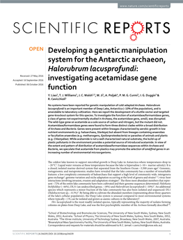 Developing a Genetic Manipulation System for the Antarctic Archaeon, Halorubrum Lacusprofundi: Investigating Acetamidase Gene Function