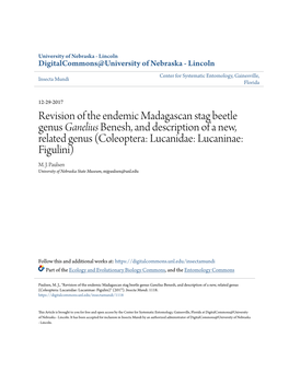 Revision of the Endemic Madagascan Stag Beetle Genus &lt;I&gt;Ganelius&lt;/I