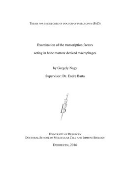 Examination of the Transcription Factors Acting in Bone Marrow