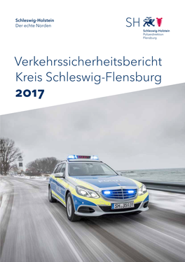 Verkehrssicherheitsbericht Kreis Schleswig-Flensburg 2017