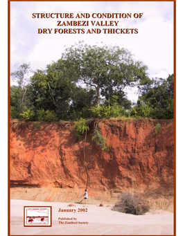 Structure and Condition of Zambezi Valley Dry Forests and Thickets
