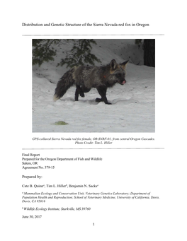 Distribution and Genetic Structure of the Sierra Nevada Red Fox in Oregon