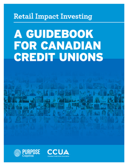 Credit Union Guidebook