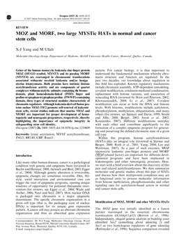 MOZ and MORF, Two Large Mystic Hats in Normal and Cancer Stem Cells