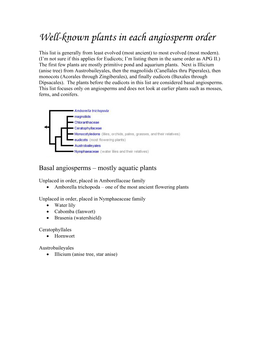 Well-Known Plants in Each Angiosperm Order