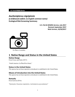 Auchenipterus Nigripinnis (A Driftwood Catfish; No English Common Name) Ecological Risk Screening Summary