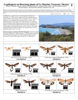 Lepidoptera on Flowering Plants of La Mancha, Veracruz, Mexico Cristian A