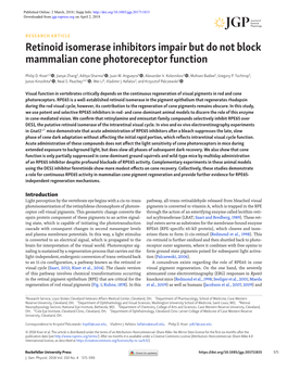 Retinoid Isomerase Inhibitors Impair but Do Not Block Mammalian Cone Photoreceptor Function