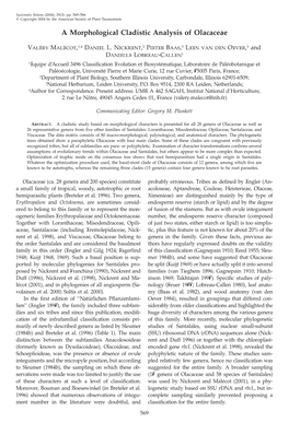 A Morphological Cladistic Analysis of Olacaceae