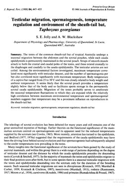 Testicular Migration, Spermatogenesis, Temperature Taphozous Georgianus