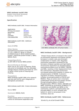 NEK2 Antibody (Aa287-299) Rabbit Polyclonal Antibody Catalog # ALS11259