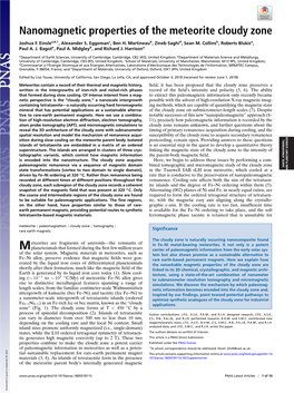 Nanomagnetic Properties of the Meteorite Cloudy Zone