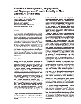 Extensive Vasculogenesis, Angiogenesis, and Organogenesis Precede Lethality in Mice Lacking All V Integrins