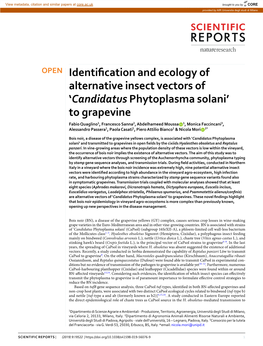 Identification and Ecology of Alternative Insect Vectors Of