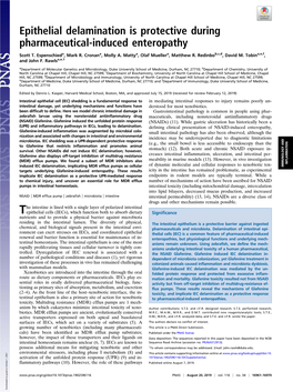 Epithelial Delamination Is Protective During Pharmaceutical-Induced Enteropathy