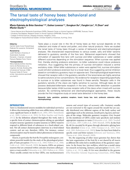 The Tarsal Taste of Honey Bees: Behavioral and Electrophysiological Analyses