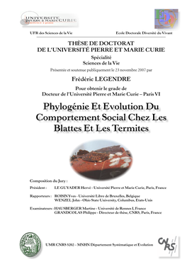 Phylogénie Et Evolution Du Comportement Social Chez Les Blattes Et Les Termites
