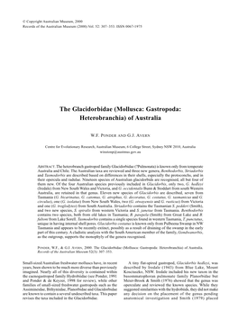 The Glacidorbidae (Mollusca: Gastropoda: Heterobranchia) of Australia