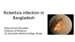 Rickettsia Infection in Bangladesh