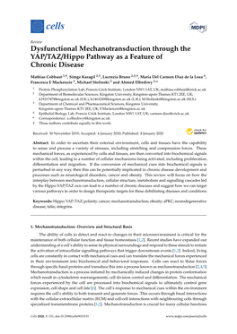 Dysfunctional Mechanotransduction Through the YAP/TAZ/Hippo Pathway As a Feature of Chronic Disease