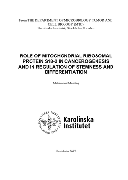 Role of Mitochondrial Ribosomal Protein S18-2 in Cancerogenesis and in Regulation of Stemness and Differentiation