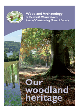 Woodland Archaeology Handbook Is Available to Download from the North Wessex Downs AONB Website At