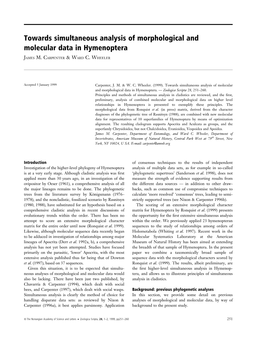 Towards Simultaneous Analysis of Morphological and Molecular Data in Hymenoptera