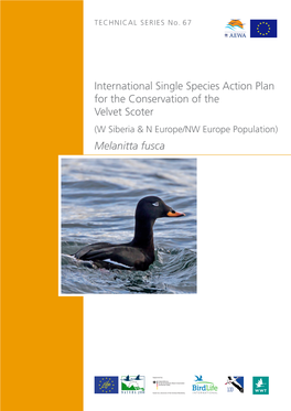 International Single Species Action Plan for the Conservation of the Velvet Scoter Melanitta Fusca