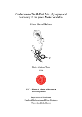 Phylogeny and Taxonomy of the Genus Elettaria Maton