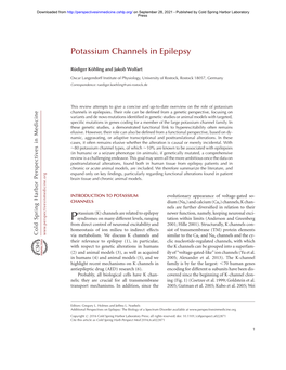 Potassium Channels in Epilepsy