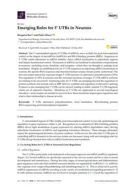 Emerging Roles for 3 Utrs in Neurons