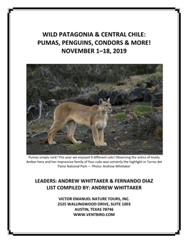 Wild Patagonia & Central Chile