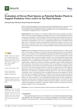 Evaluation of Eleven Plant Species As Potential Banker Plants to Support Predatory Orius Sauteri in Tea Plant Systems