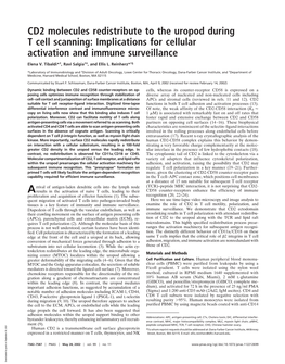 CD2 Molecules Redistribute to the Uropod During T Cell Scanning: Implications for Cellular Activation and Immune Surveillance