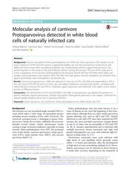 Molecular Analysis of Carnivore Protoparvovirus Detected in White Blood Cells of Naturally Infected Cats