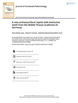 A New Archosauriform Reptile with Distinctive Teeth from the Middle Triassic (Ladinian) of Germany