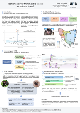 Tasmanian Devils' Transmissible Cancer