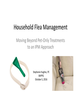 Household Flea Management