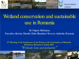 Wetlands on Danube Delta Bioisphere Reserve