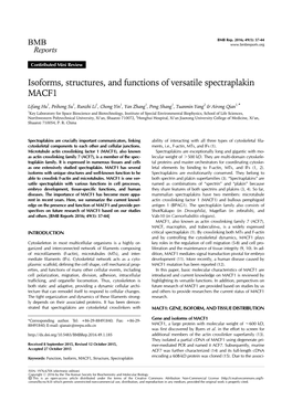 Isoforms, Structures, and Functions of Versatile Spectraplakin MACF1