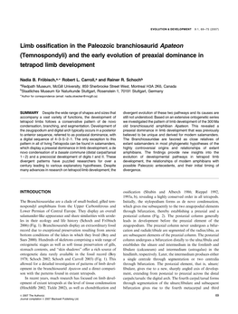 Limb Ossification in the Paleozoic Branchiosaurid Apateon (Temnospondyli) and the Early Evolution of Preaxial Dominance in Tetrapod Limb Development