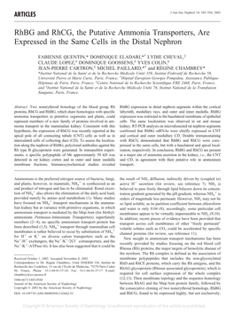 Rhbg and Rhcg, the Putative Ammonia Transporters, Are Expressed in the Same Cells in the Distal Nephron