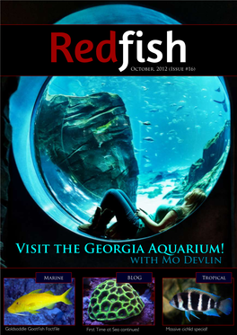 Visit the Georgia Aquarium! with Mo Devlin